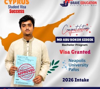 visa-success